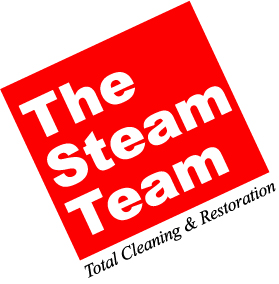 The Steam Team